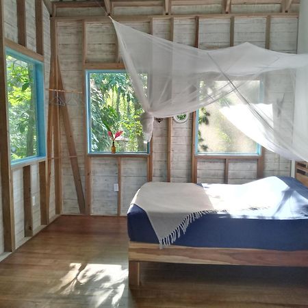 Jungle Paunch Villa Bocas del Toro Exterior photo
