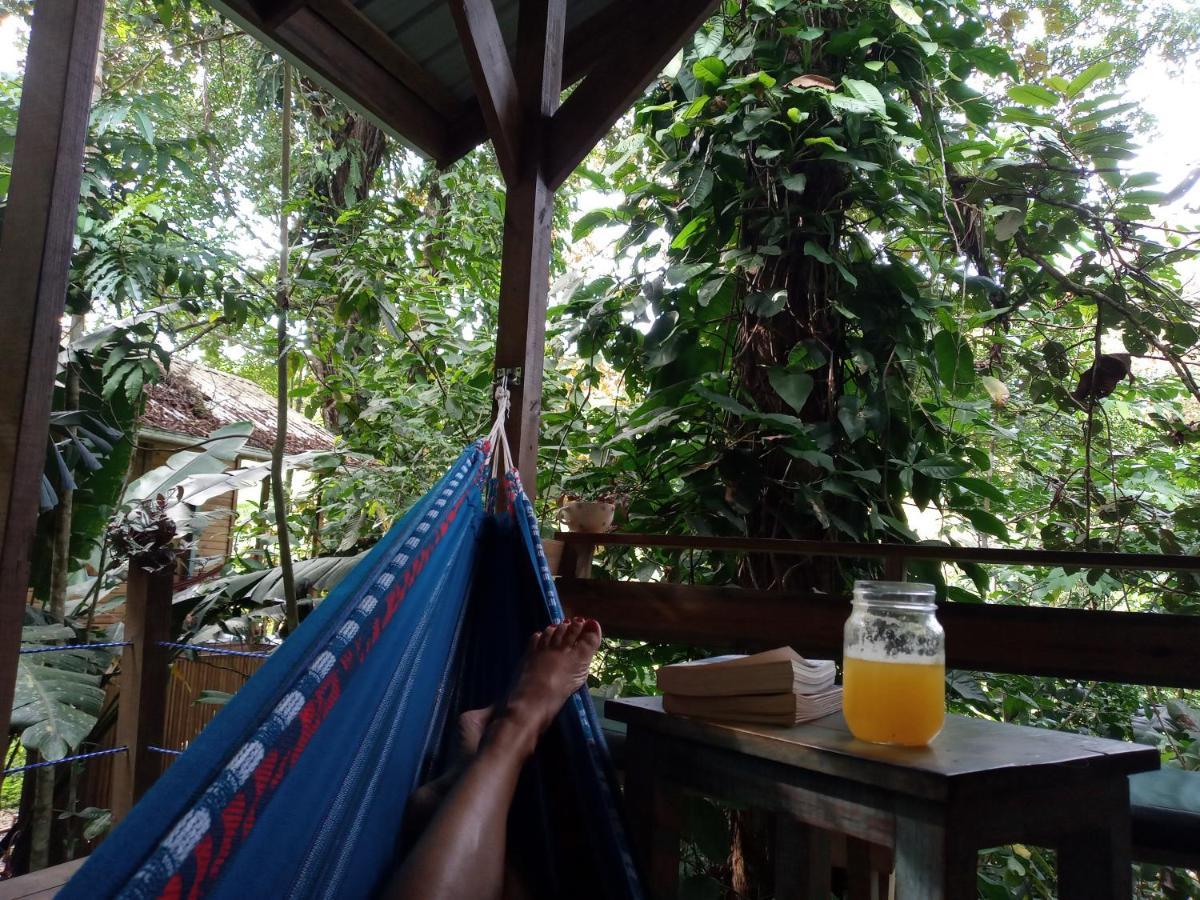 Jungle Paunch Villa Bocas del Toro Exterior photo