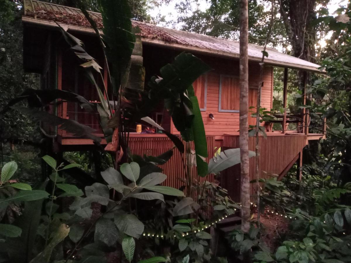 Jungle Paunch Villa Bocas del Toro Exterior photo