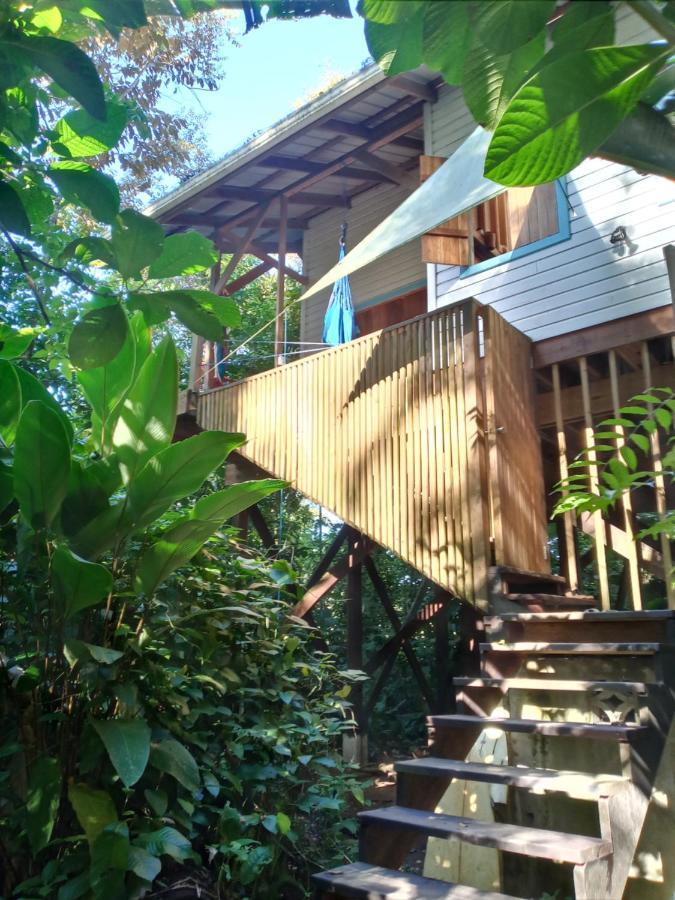 Jungle Paunch Villa Bocas del Toro Exterior photo