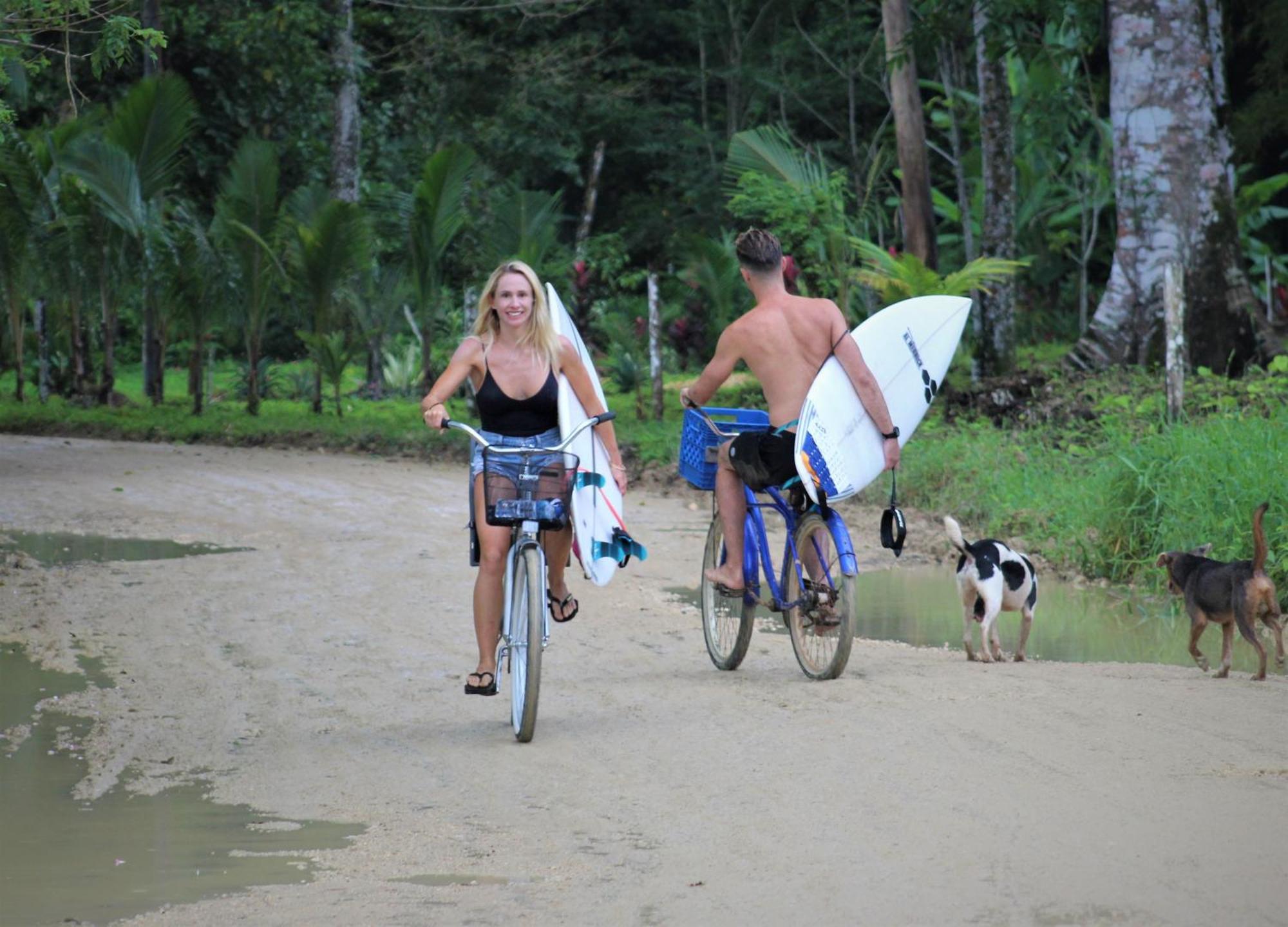 Jungle Paunch Villa Bocas del Toro Exterior photo