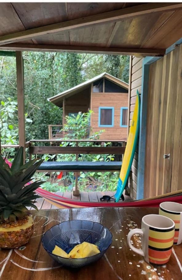 Jungle Paunch Villa Bocas del Toro Exterior photo