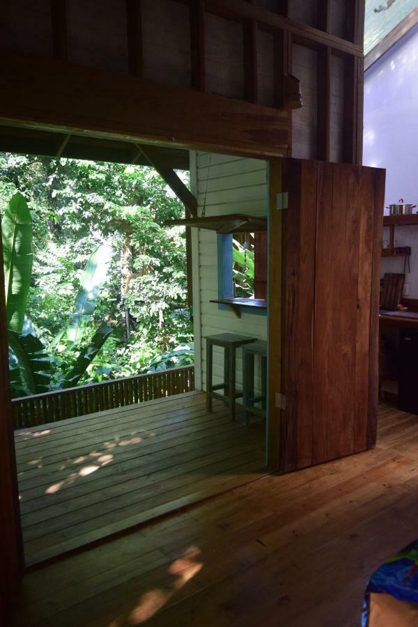 Jungle Paunch Villa Bocas del Toro Exterior photo